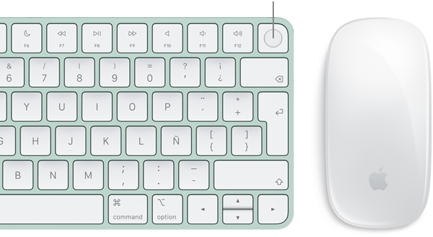Primer plano de un teclado Magic Keyboard con Touch ID junto a un Magic Mouse vistos desde arriba.