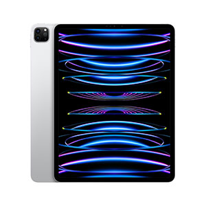 iPad Pro 12.9" MNY03LZ/A Wi-Fi 2TB Plata