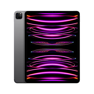 iPad Pro 12.9" MP1X3LZ/A Wi-Fi + Cellular 128GB Gris Espacial