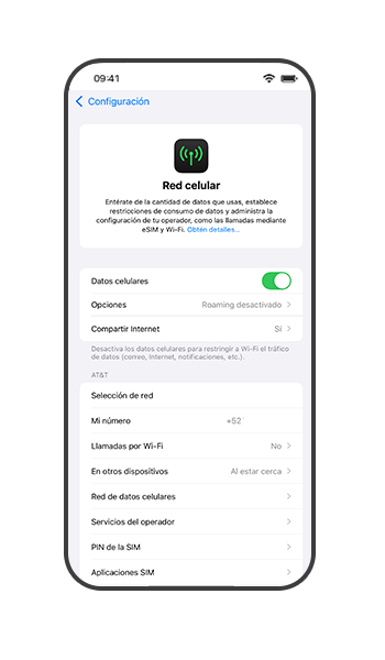 esim1