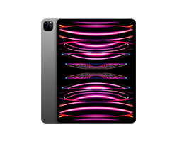 iPad  Pro 11 pulgadas