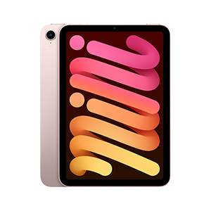 Compra iPad Mini 6 MLWR3LZ/A Wi-Fi 256GB Rosa