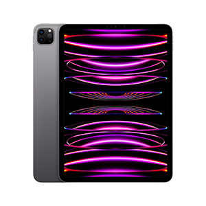Compra iPad Pro 11" MNXM3LZ/A Wi-Fi 2TB Gris Espacial