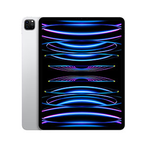 Compra iPad Pro 12.9" MNY03LZ/A Wi-Fi 2TB Plata