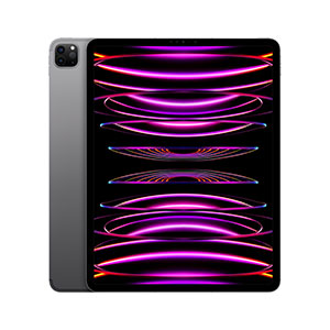 Compra iPad Pro 12.9" MP263LZ/A Wi-Fi + Cellular 2TB Gris Espacial